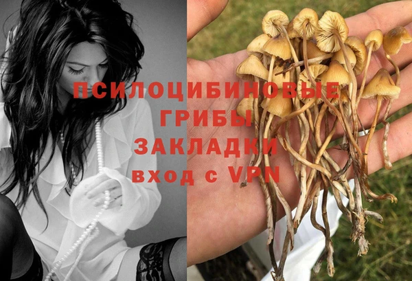 ешки Красноперекопск