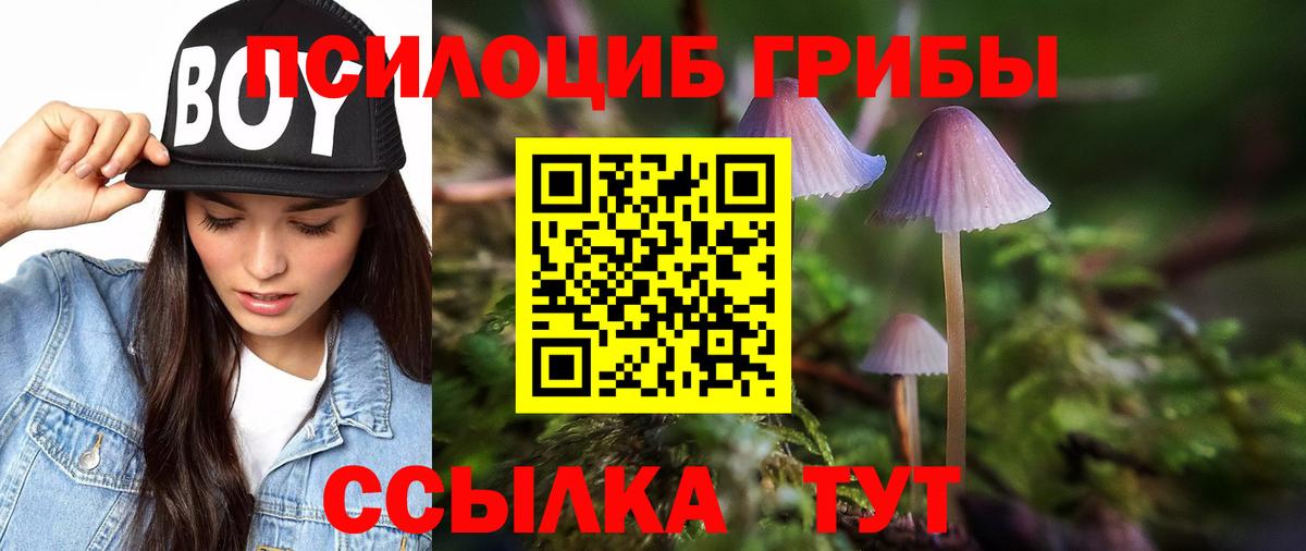 Галлюциногенные грибы Magic Shrooms  Вход с VPN  Шатура 